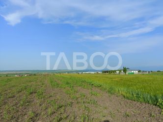 Teren 5000 mp in apropiere de case in Sura Mica - pretabil investitie