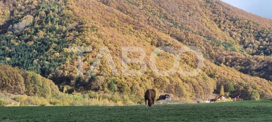 Teren 5000 mp oportunitate investitie turistica Gura Raului Sibiu