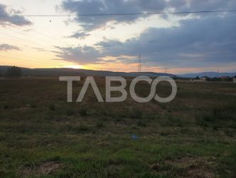 Teren agricol extravilan 5800 mp utilitati acces auto Petresti Sebes