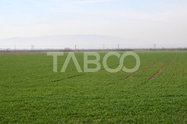 Teren agricol extravilan 5800 mp utilitati front 16 ml Petresti Sebes