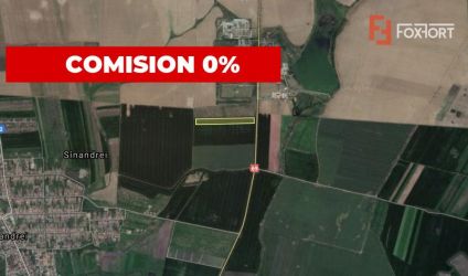 Teren Agricol | Opurtunitate investitie | Sananadrei - ID V713