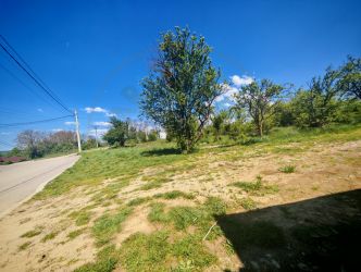 Teren central 2000 mp intravilan Mioveni 