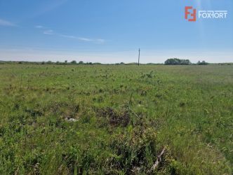 Teren de 5000 mp de vanzare in Mosnita Veche