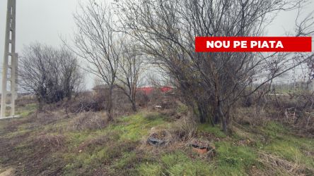 Teren de 533 mp - 10 min de Pitesti-Albota Argeș!