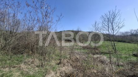Teren de vanzare 1450 mp intravilan Slimnic Sibiu
