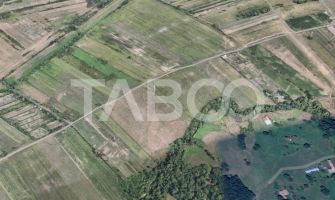 Teren de vanzare 17.000 mp in vecinatatea padurii Dumbrava