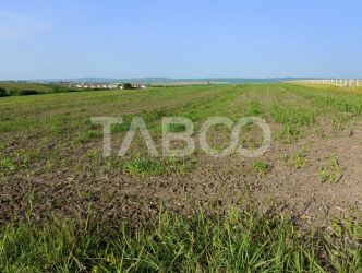Teren de vanzare 5000 mp - pretabil investitie - Sura Mica