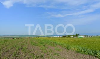 Teren de vanzare 5000 mp - pretabil investitie - Sura Mica