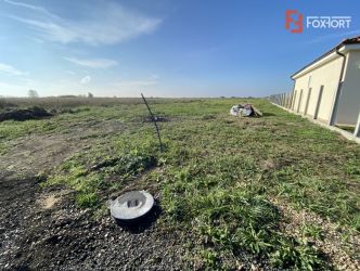 Teren de vanzare 687 mp, in Sacalaz - ID V4497