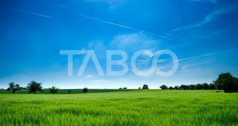 Teren de vanzare 9369 mp langa viitoarea centura Sud a Sibiului