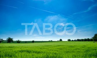 Teren de vanzare 9369 mp langa viitoarea centura Sud a Sibiului