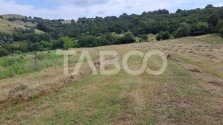 Teren de vanzare cu deschidere la padure 15600 mp in Hamba Sibiu