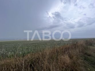 Teren de vanzare extravilan 30000 mp 60 ml deschidere Sura Mare Sibiu