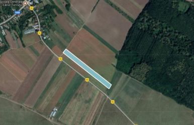 Teren de vanzare in Balta Doamnei, deschidere 15ml, 6569mp, 78.828euro