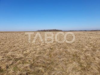 Teren de vanzare in zaona extravilanului comunei Recea 600 mp