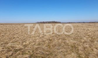 Teren de vanzare in zaona extravilanului comunei Recea 600 mp