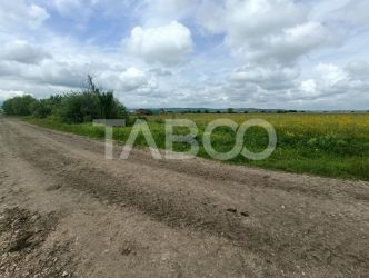 Teren de vanzare in zona Parcului Industrial Sura Mica cu acces camion