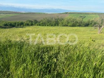 Teren de vanzare intravilan 8900mp Sura Mare zona deosebita