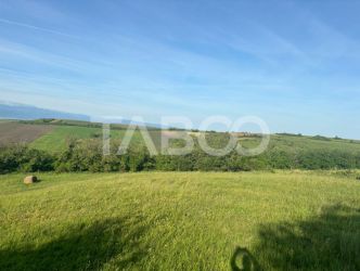 Teren de vanzare intravilan 8900mp Sura Mare zona deosebita