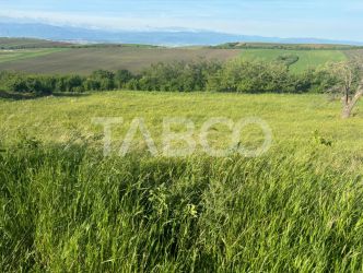 Teren de vanzare intravilan 8900mp Sura Mare zona deosebita