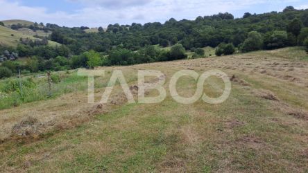 Teren de vanzare langa padure 15600 mp in Hamba Sibiu