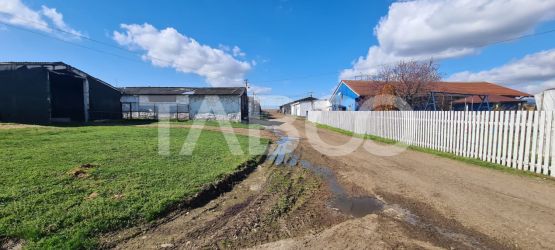 Teren de vanzare pe drumul vechi al Pianului