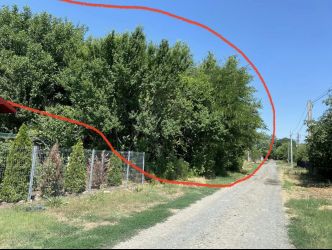 Teren de vânzare sat Ceacu jud. Călărași  