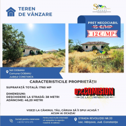 Teren de vânzare – Sat Ciobanu, comuna Ciobanu, județul Constanța