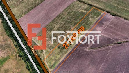 Teren extravilan 27.500 mp de vanzare in Timisoara-Zona Exterior Vest 