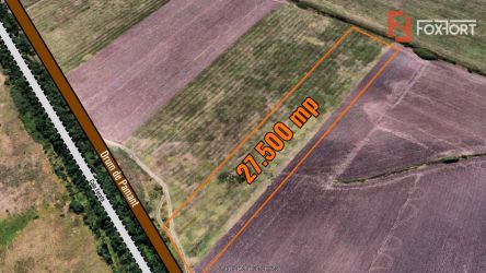 Teren extravilan 27.500 mp de vanzare in Timisoara-Zona Exterior Vest 