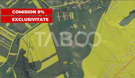 Teren extravilan 2900 mp pretabil pentru investitie zona Lovnic