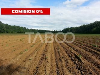 Teren extravilan agricol 12.000 mp utilitati in zona Pianu de Jos Alba