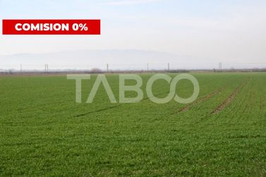 Teren extravilan agricol 5265 mp utilitati in zona Oarda de Jos Alba