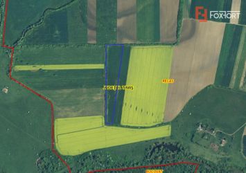 Teren extravilan agricol de 23.700 mp - Recas - Izvin