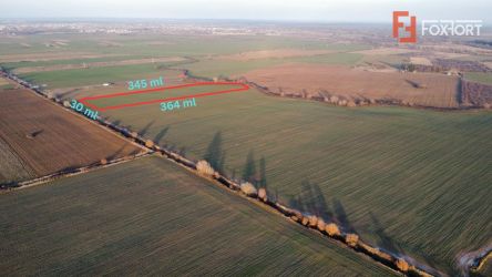 Teren extravilan arabil 10.707 mp - aproape de centura Timisoara Sud