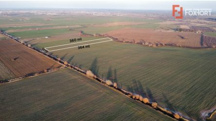 Teren extravilan arabil 4.803 mp - aproape de centura Timisoara Sud