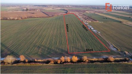 Teren extravilan arabil 50.890mp - aproape de centura Timisoara Sud