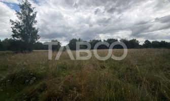 Teren extravilan cu utilitat 6000 mp langa Rau pe Valea Dejaniului