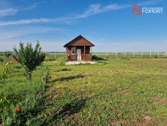 Teren extravilan de 3500 mp de vanzare in Remetea Mare