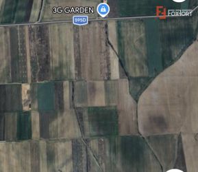 Teren extravilan de 6300 mp - Mosnita Veche