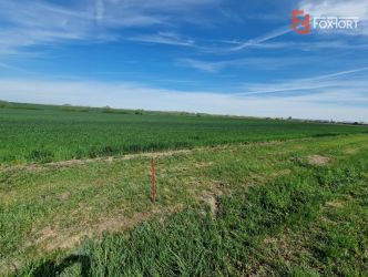 Teren extravilan de 9500 mp de vanzare in Remetea Mare
