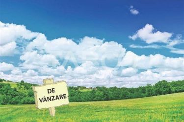 Teren extravilan de vanzare 25465 mp la intrare in Ocna Sibiului