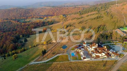 Teren extravilan de vanzare 3235 mp in Paltinis Sibiu 