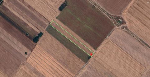 Teren Extravilan In Rate Primaverii Com. Berceni | 10.000mp | #EG51