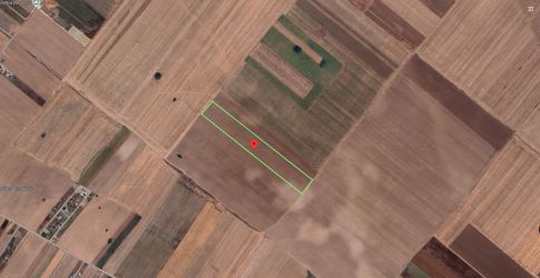 Teren Extravilan In Rate Primaverii Com. Berceni | 10.510mp | #EG29