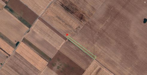 Teren Extravilan In Rate Primaverii Com. Berceni | 2670mp | #EG52