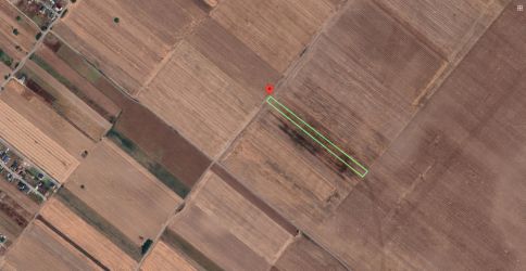 Teren Extravilan In Rate Primaverii Com. Berceni | 4819mp | #EG50