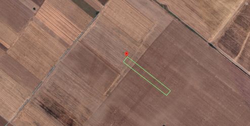 Teren Extravilan In Rate Primaverii Com. Berceni | 4997mp | #EG48