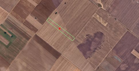 Teren Extravilan In Rate Primaverii Com. Berceni | 6304mp | #EG44