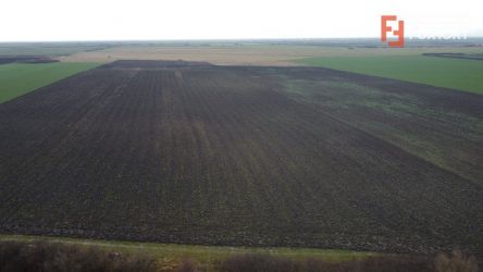 Teren extravilan in Sanmihaiu Roman